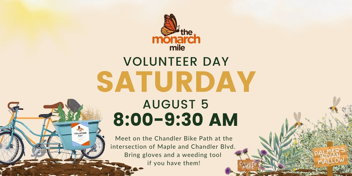 May be an image of bicycle and text that says 'the monarch mile VOLUNTEER DAY SATURDAY AUGUST 5 8:00-9:30 AM Meet on the Chandler Bike Path at the intersection of Maple and Chandler Blvd. Bring gloves and weeding tool if you have them! Aint PALMER'S MALLOW'