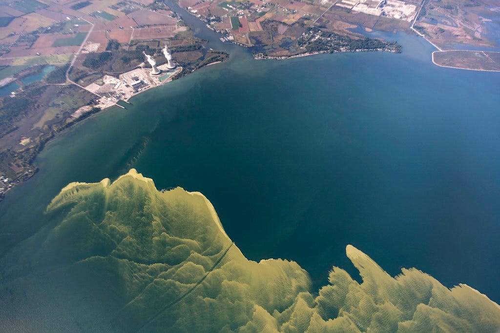 Harmful Algal Bloom in Lake Erie
