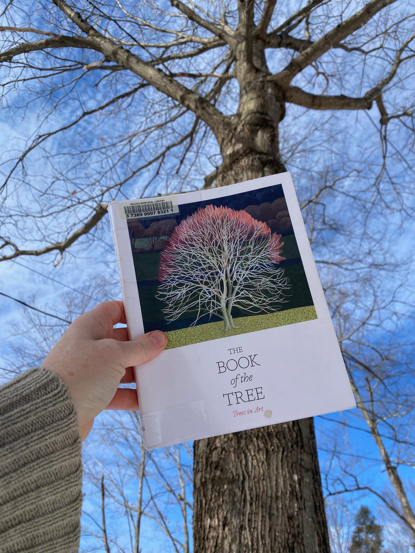 I’m holding this book up in front of a tall oak tree, bare branches against a cloudy sky.