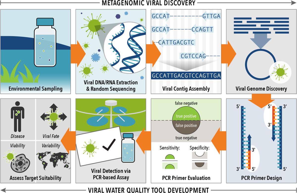 Metagenomics and the development of viral water quality tools | npj Clean Water Metagenomics and the development of viral water quality tools | npj Clean Water