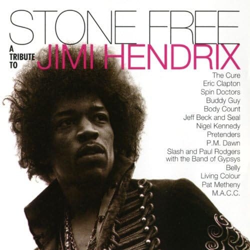 Amazon.com: Stone Free: A Tribute to Jimi Hendrix : VARIOUS ARTISTS:  Digital Music