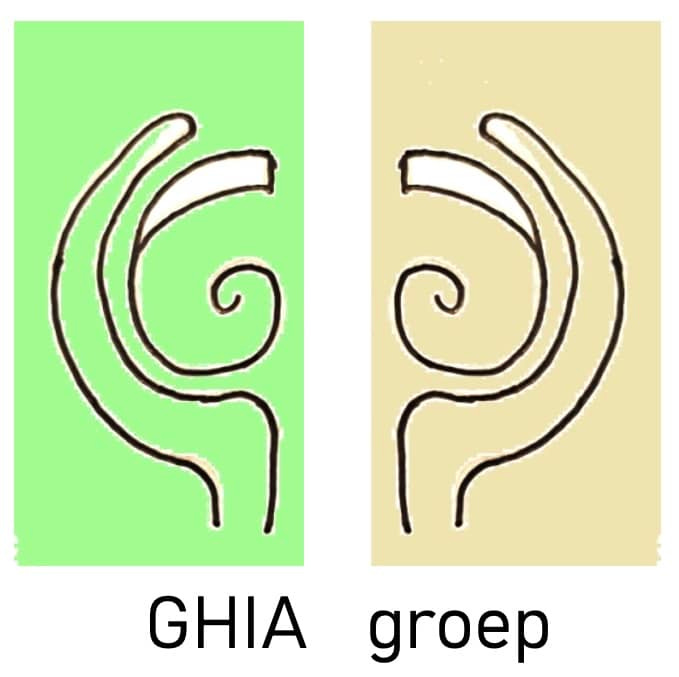 GHIA Qigong groep, compassievol lichaamswerk voor een overactief stresssysteem.
