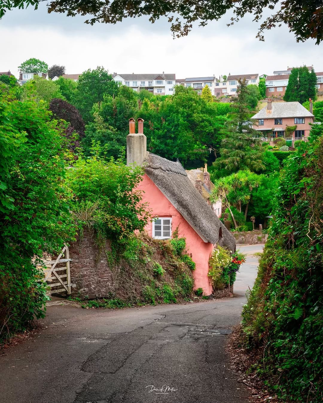 Cockington Village thatched Cottages in Torquay, Devon. Photo by Derrick Mills