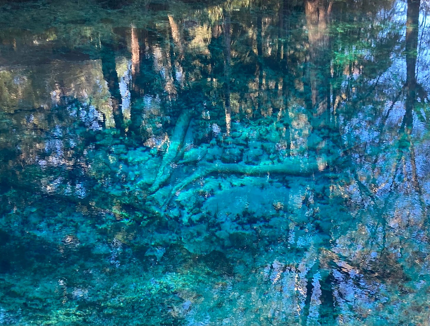 A photo down into a Florida head springs with the reflection of the surrounding trees and sunlight over the surface. Under the surface is is shades of blue and green with long logs criss crossed over rocks with a dark opening below. 