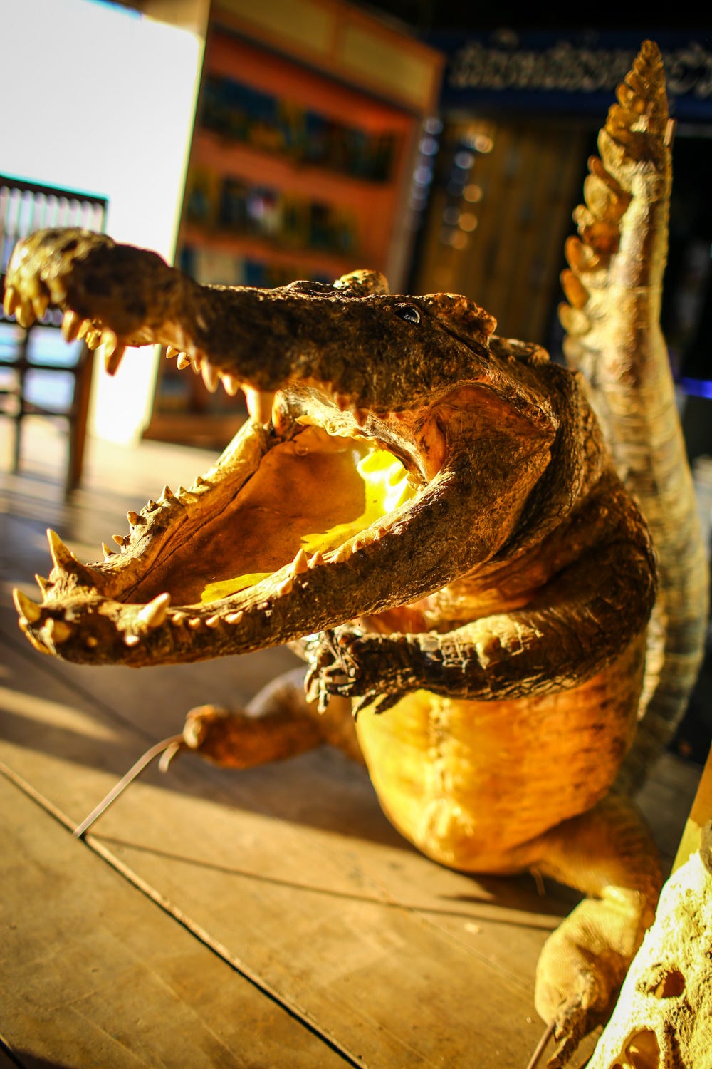 A photo of a stuffed crocodile, posed to be standing on its hind legs with it's jag gaping, rows or ragged teeth in full display.