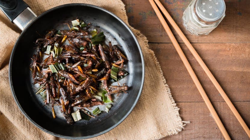 FAQ: Craving nasi lemak topped with crickets? What you need to know about eating insects