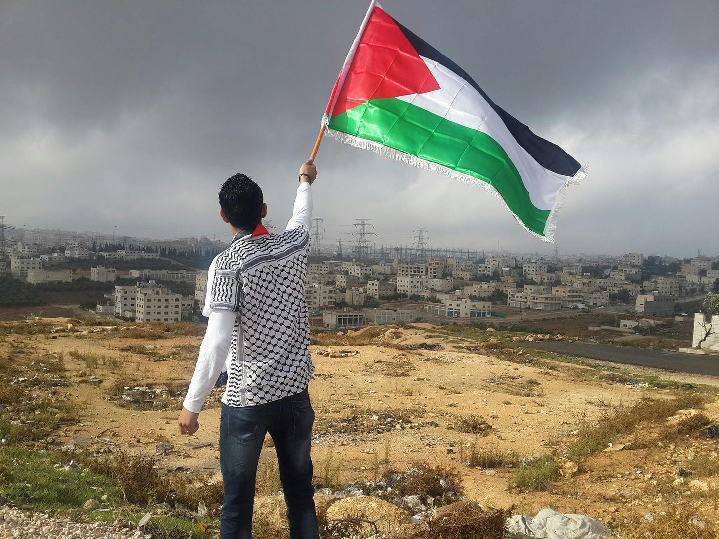 Reflections on International Law and Palestine