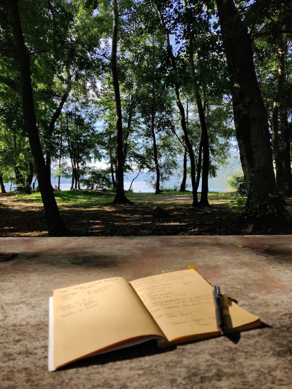 Nothing beats free thoughts brought to a pen and paper - in nature.