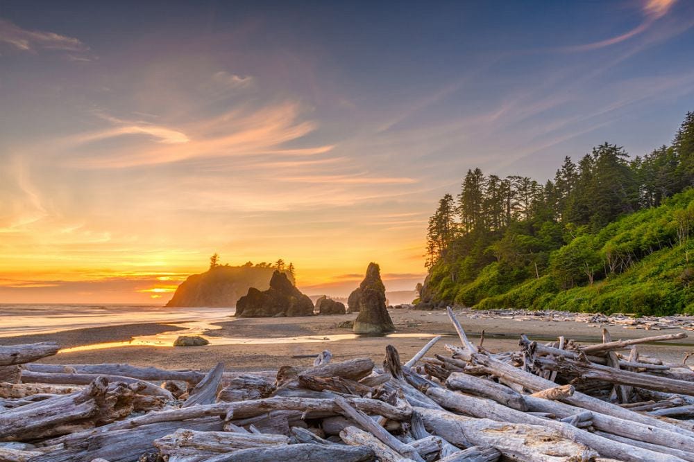 Ruby Beach Washington