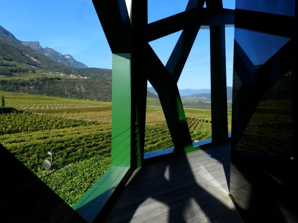 Tramin winery, looking out over tramin vineyards