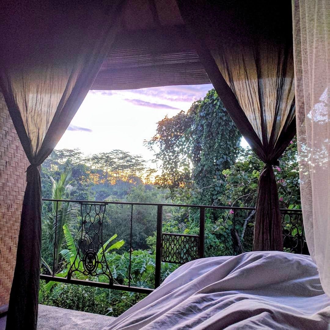 Balinese jungle at sunrise, viewed through an open balcony
