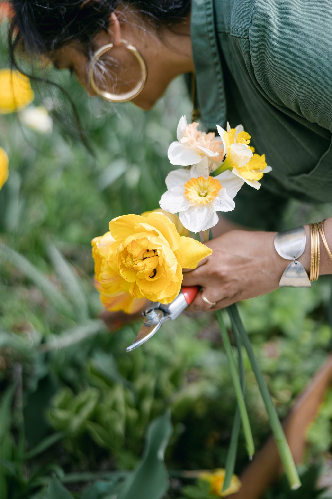 Focus on a woman's hand as she holds cut daffodils and tulips. In the background she bends over to cut something else. 