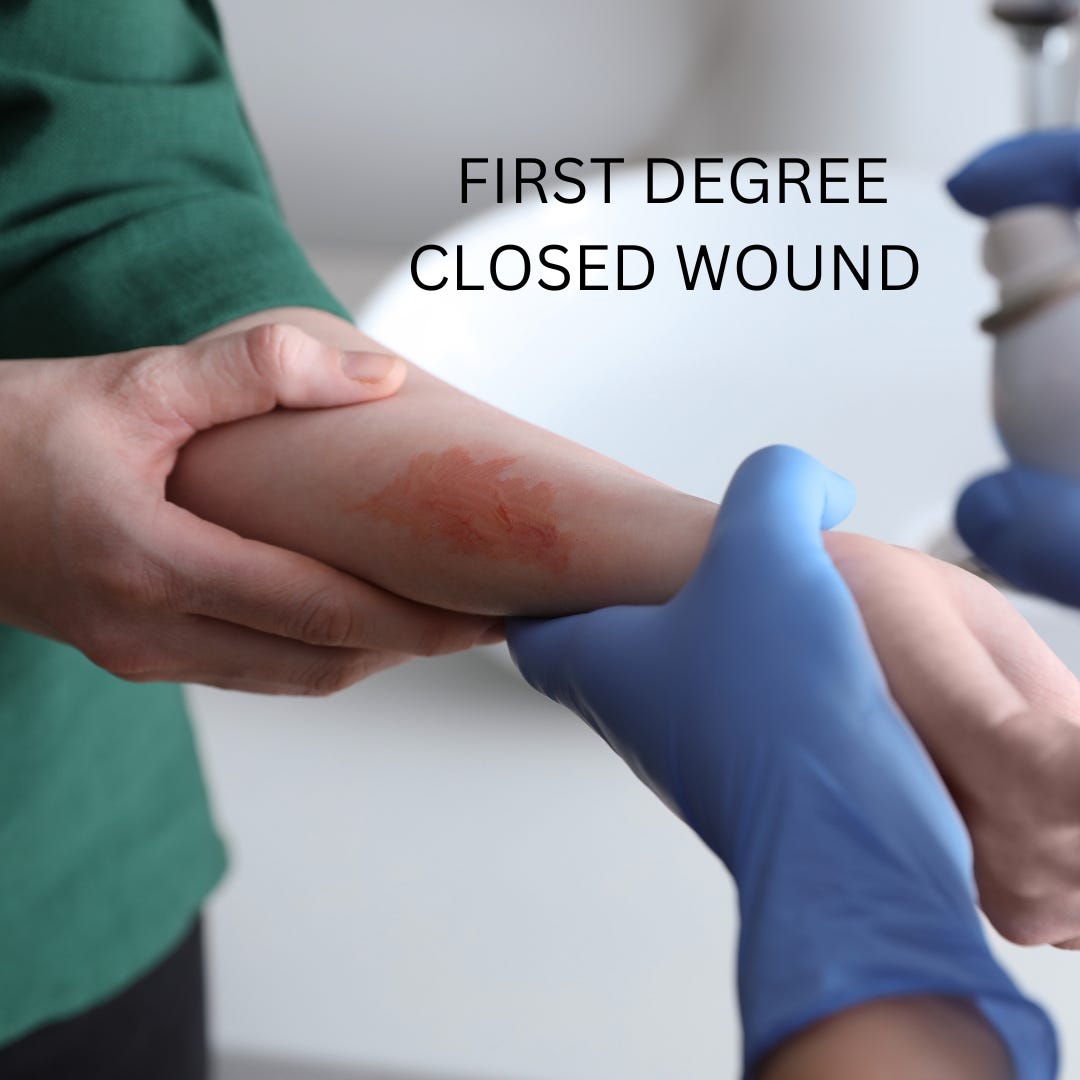 Home Apothecary The Herbal Prescriptive’s Substack