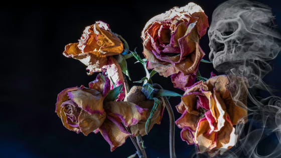 A clutch of roses browns and crinkles as smoke wafts in around it. The faint hint of a skull lurks within the smoke.