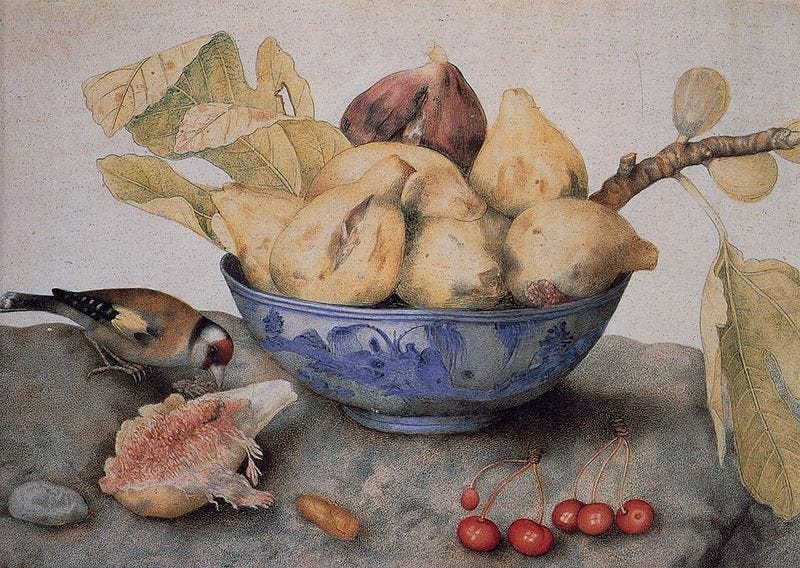 File:Giovanna Garzoni - China Bowl with Figs, a Bird, and Cherries - WGA8490.jpg