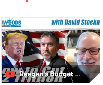 Talking Turkey About DOGE, Deficits And The Dumbassery Of Attacking Rep ...