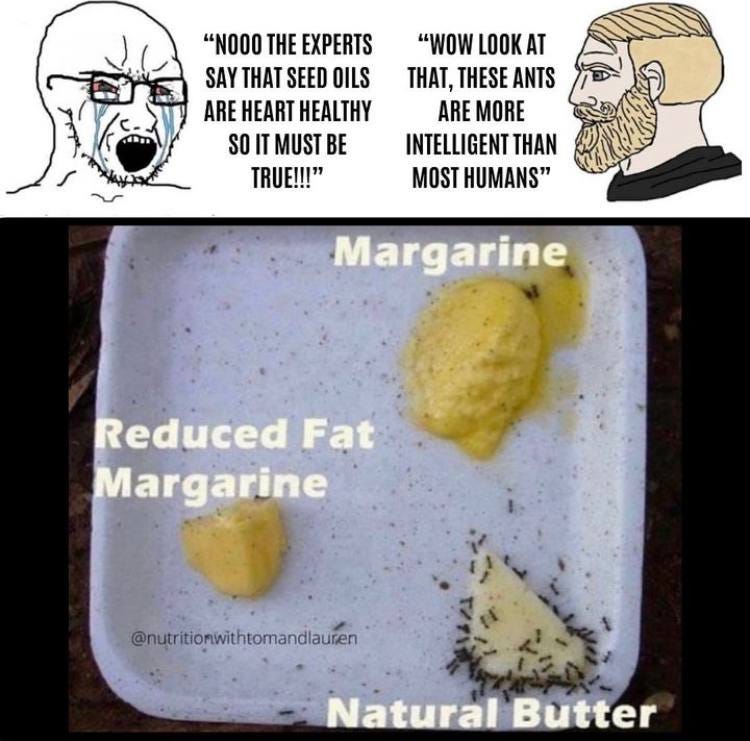 May be an image of text that says '"NOOO THE EXPERTS SAY THAT SEED OILS ARE HEART HEALTHY SO IT MUST BE TRUE!!!" "WOW LOOKAT AT THAT, THESE ANTS ARE MORE INTELLIGENT THAN MOST HUMANS" Margarine Reduced Fat Margarine @nutritionwithtomandlauren Natural Butter'