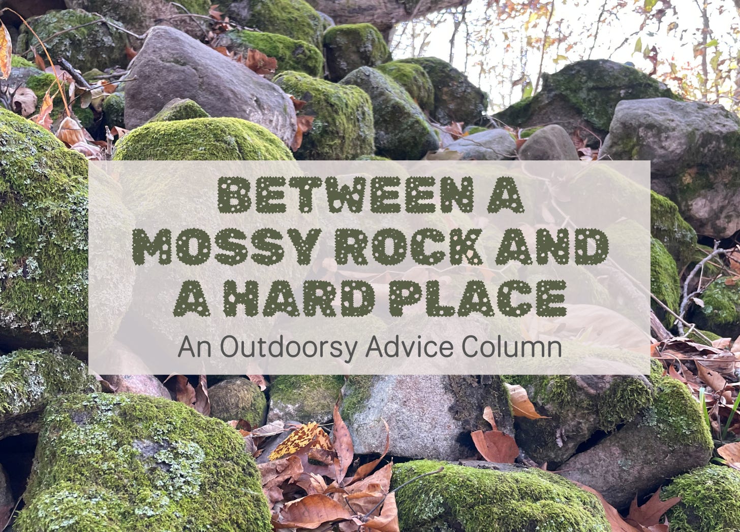 Between a Mossy Rock & a Hard Place: An Outdoorsy Advice Column