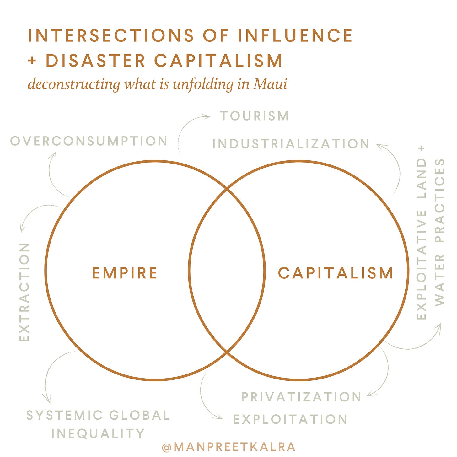 Intersections of Influence Venn Diagram by Manpreet Kalra examining Disaster Capitalism