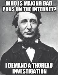henry david thoreau Memes & GIFs - Imgflip