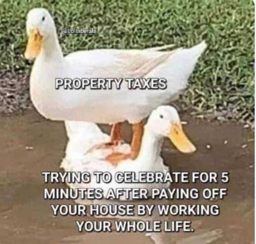 ducks property taxes celebrate pay off house working whole life