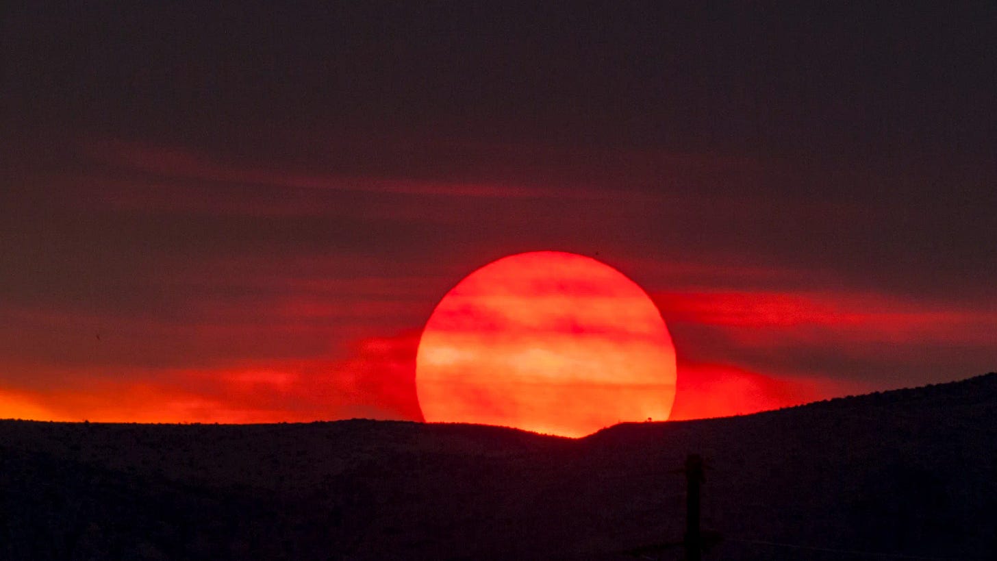 The Next Big Wildfire Might be Started by a Book Ban