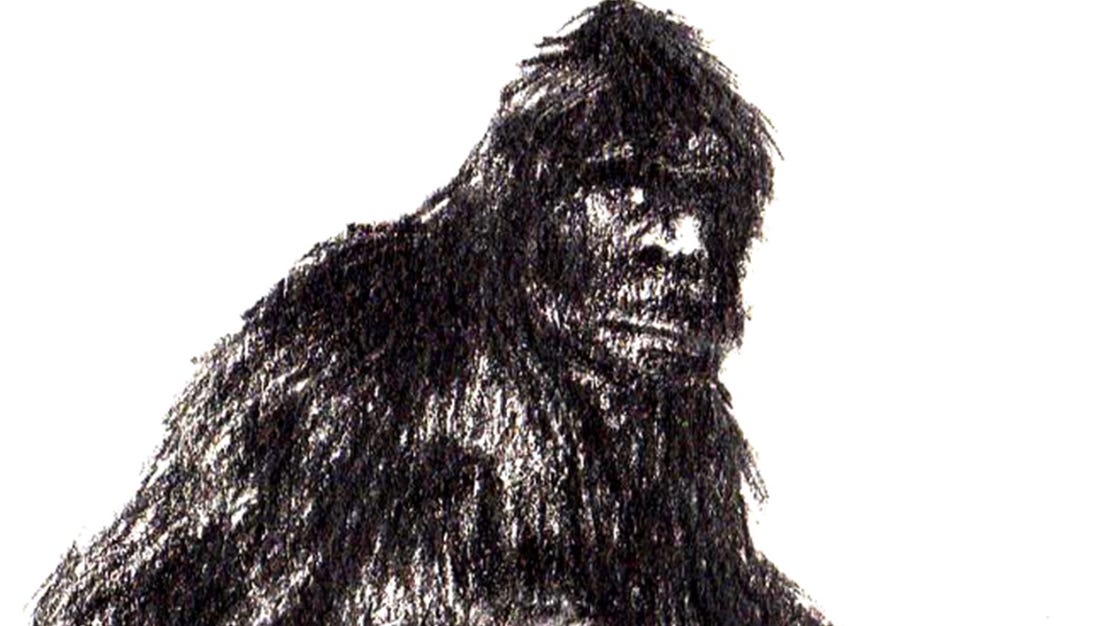 MICHIGAN MONSTERS: The hunt for Bigfoot continues as sightings stay steady  | WWMT