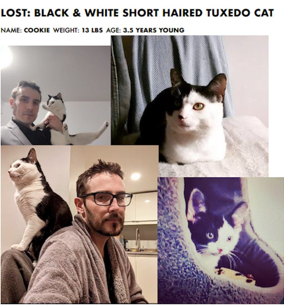 May be an image of 2 people, cat and text that says 'LOST: BLACK & WHITE SHORT HAIRED TUXEDO CAT NAME: COOKIE WEIGHT: 13 LBS AGE: 3.5 YEARS YOUNG'