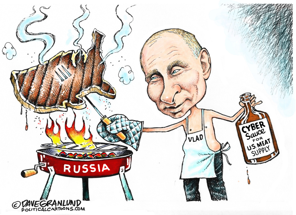 Cyber Attack Cartoons