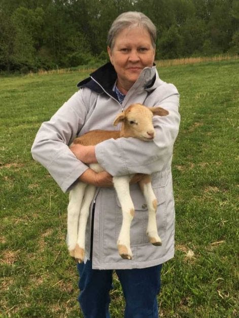 Christian Passover lamb