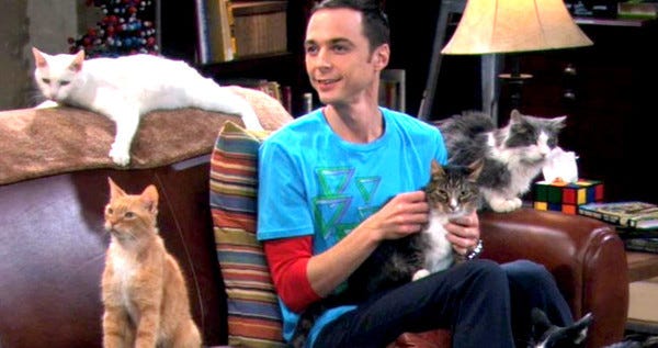 big bang theory soft kitty stolen kitty lawsuit hits 2015 images