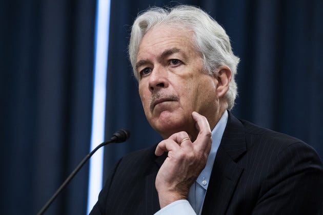 Bill Burns testifies during his Senate Select Intelligence Committee confirmation hearing. 