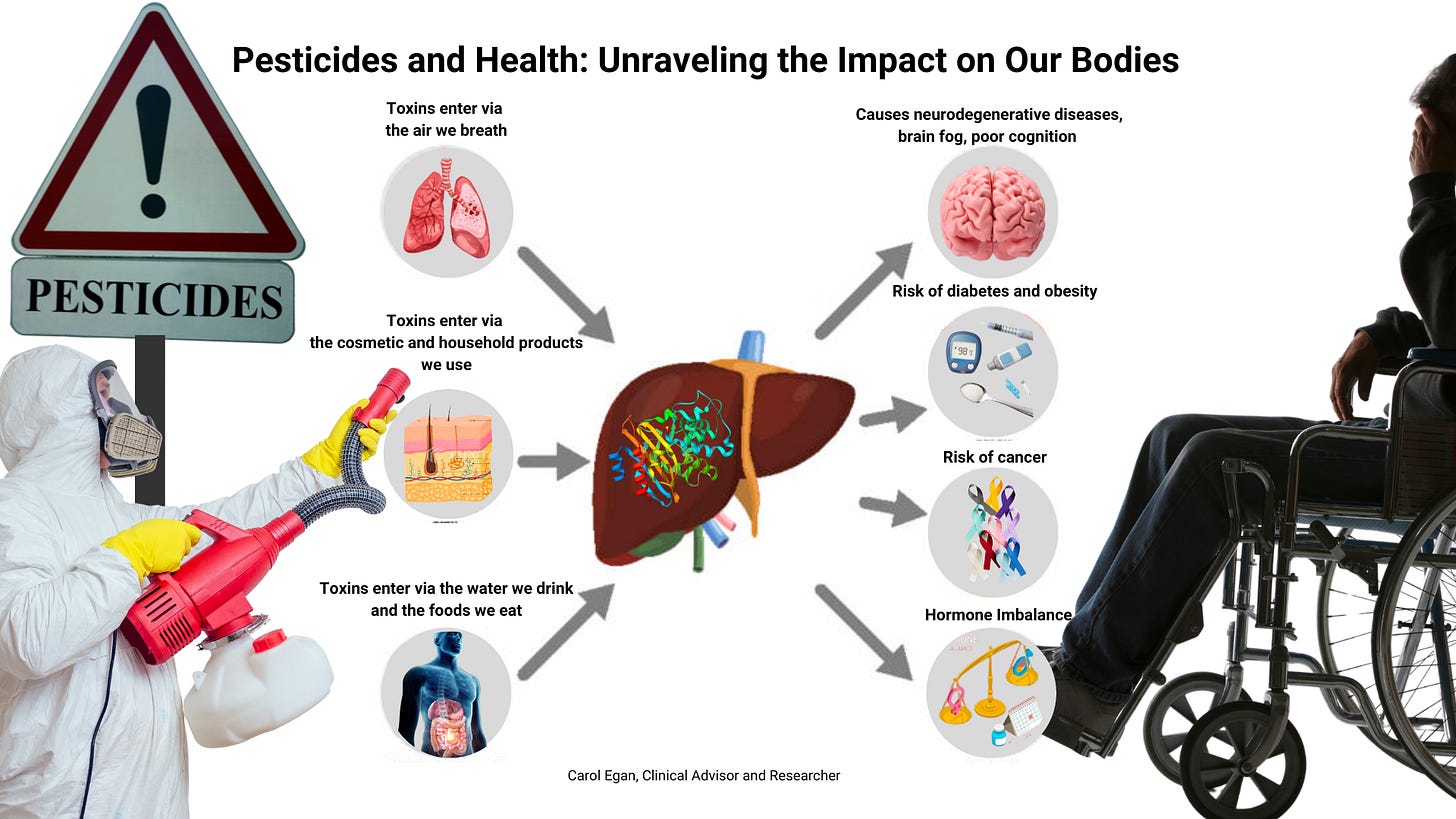 Pesticides and Health: Unraveling the Impact on Our Bodies - Carol Egan Pesticides and Health: Unraveling the Impact on Our Bodies - Carol Egan