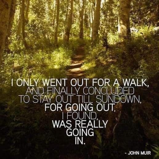 May be an image of text that says "ONLY WENT OUT FOR A WALK, AND FINALLY CONCLUDED TO STAY OUT TILL SUNDOWN, FOR GOING OUT, !FOUND, WAS REALLY GOING IN. -JOHN MUIR"
