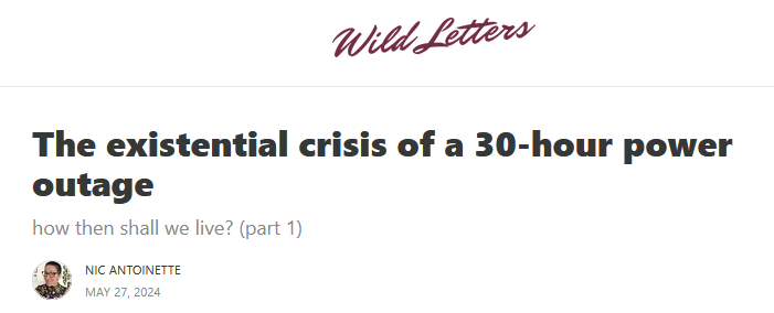 Wild Letters: The existential crisis of a 30-hour power outage how then shall we live? (part 1) Nic Antoinette May 27, 2024