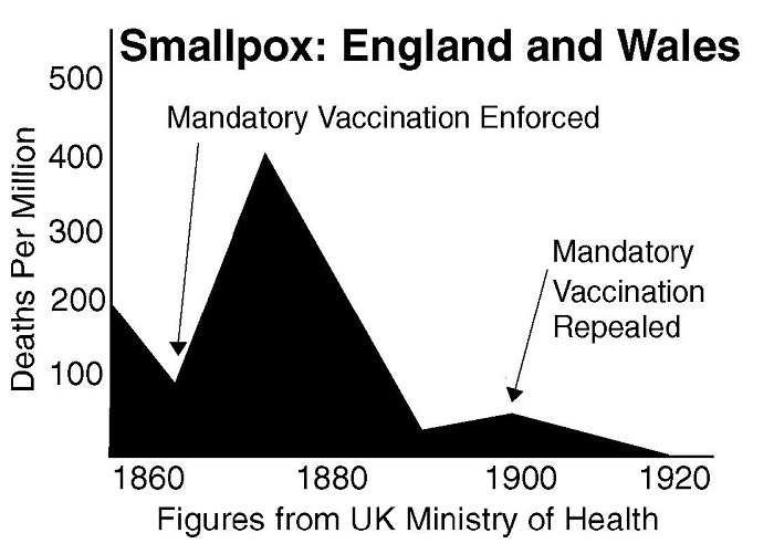 Did Vaccines Eradicate Diseases in the 20th Century? - Vision Launch