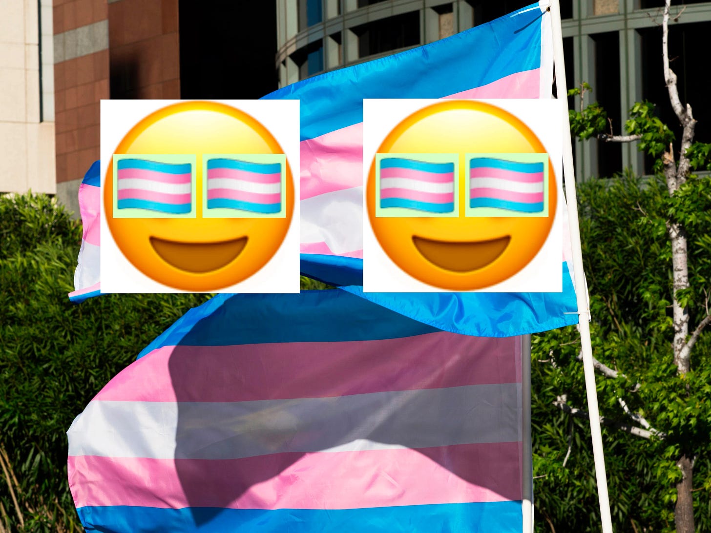 A transgender Pride flag emoji exists—here's how to get it | PinkNews