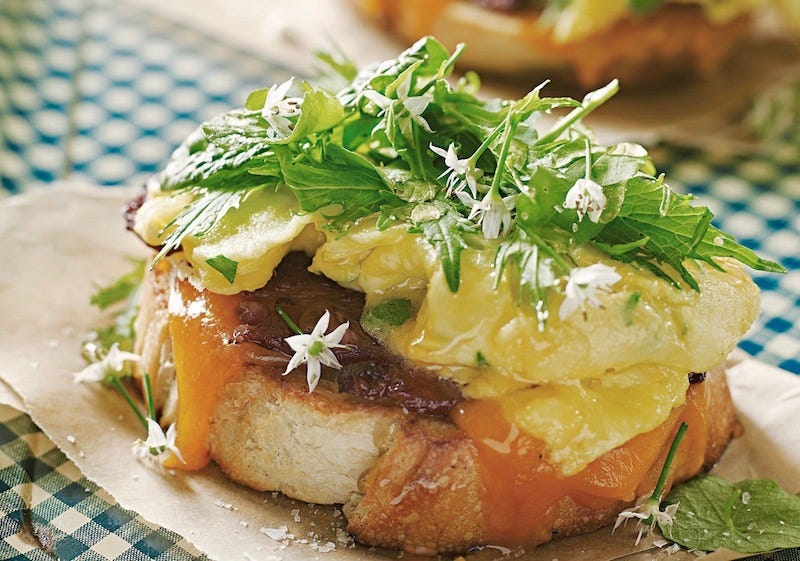 Vineyard Open-Faced Egg Sandwich with Local Bacon, Cheddar & Asian Greens, Cook the Vineyard