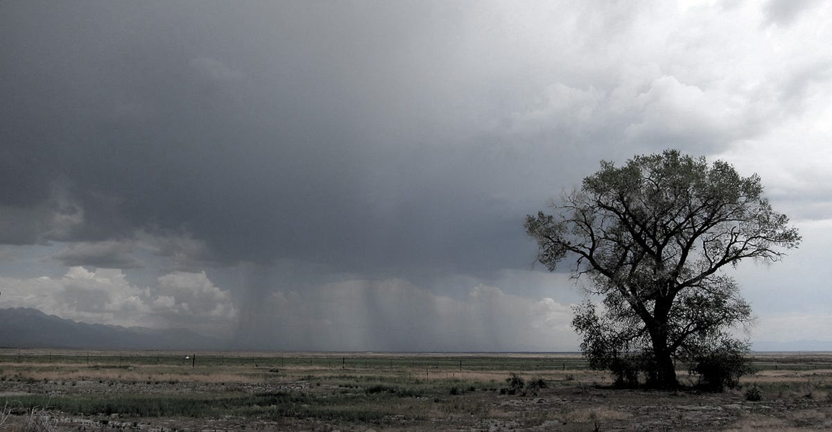 Thunder on the plains. 