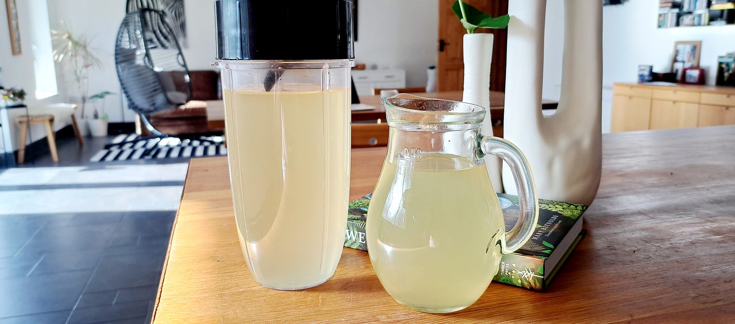 Two glass jugs containing elderflower cordial on a wooden kitchen worktop beside a white vase to the right of image.