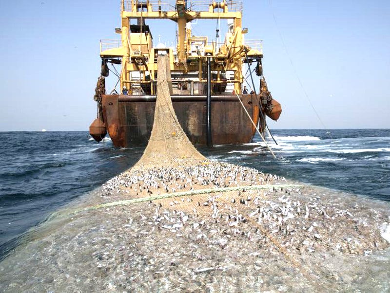 Regione: ok alla pesca a strascico nei golfi di Castellammare, Patti e  Catania