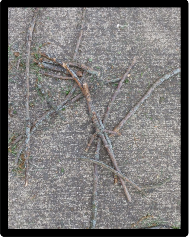 Sticks on sidewalk
