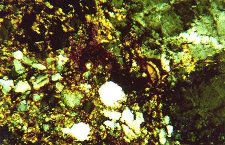 Thin Section Photograph of Sample ALH 84001 in Cross-Polarized Light Showing Rounded Zoned Carbonate Thin Section Photograph of Sample ALH 84001 in Cross-Polarized Light Showing Rounded Zoned Carbonate
