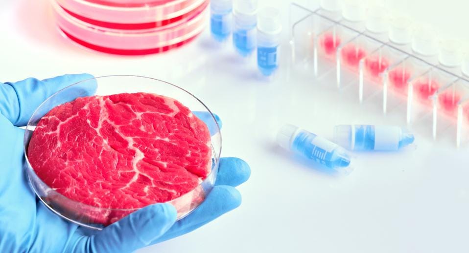 What Questions Should We Be Asking About Cell-Based Meats?