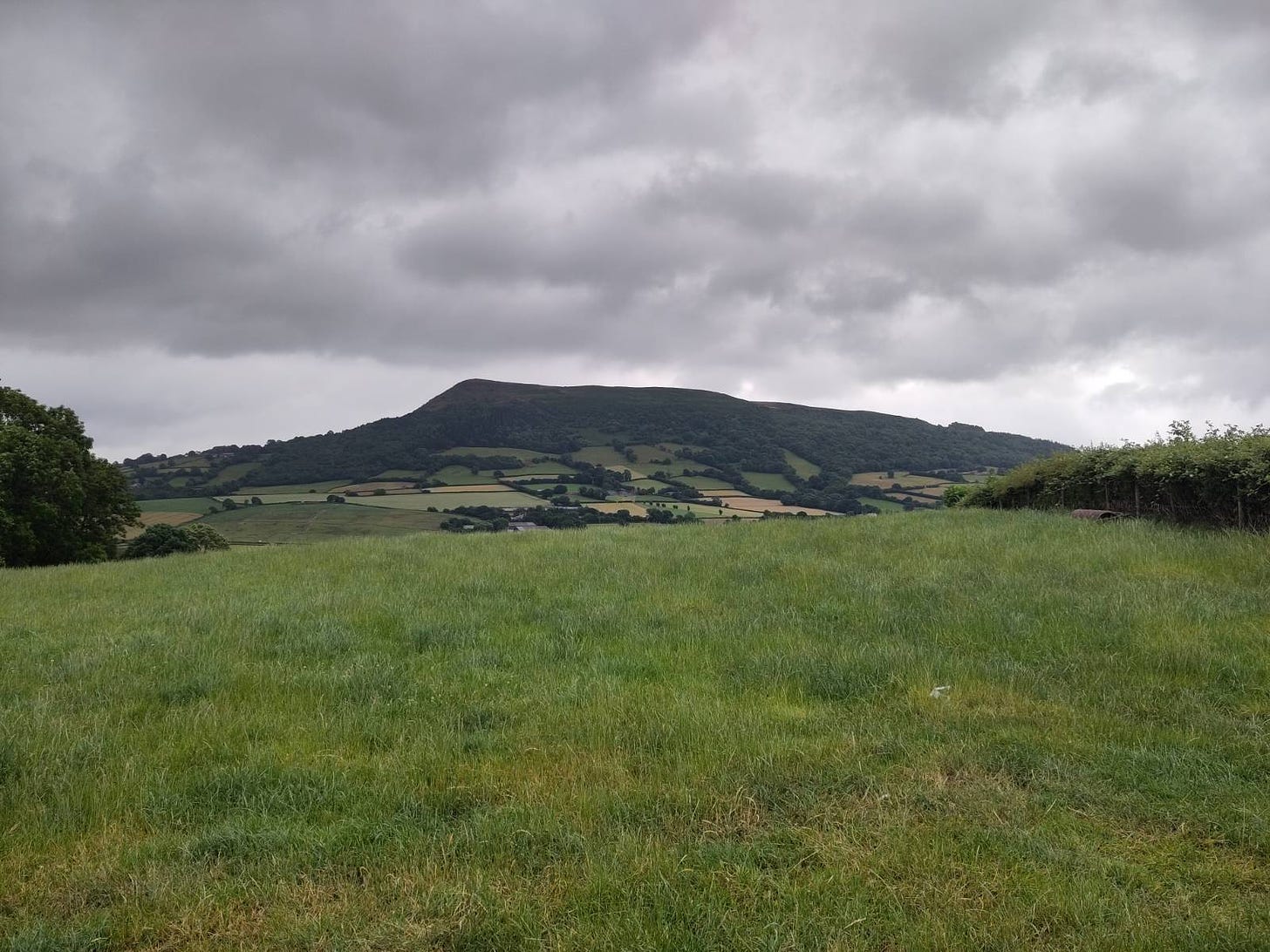 Every morning we walked up to this spot by a nearby sheep field to look at the view.