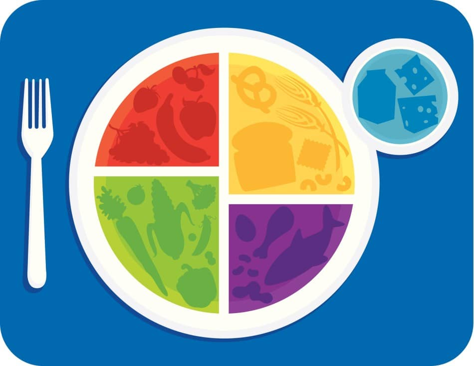Understanding the Five Food Groups for Kids | Carnation Breakfast  Essentials®
