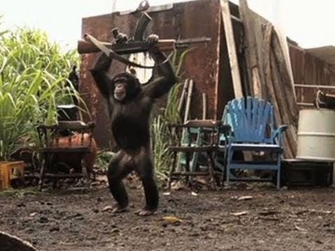 Video of Chimp with AK 47 Firing at Soldiers - Facts - Hoax Or Fact