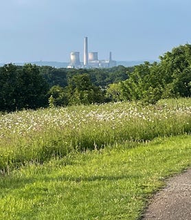 A footpath in a park. There's grass and trees to the side, and in the distance, against the backdrop of a blue sky, is an industrial set of chimneys.