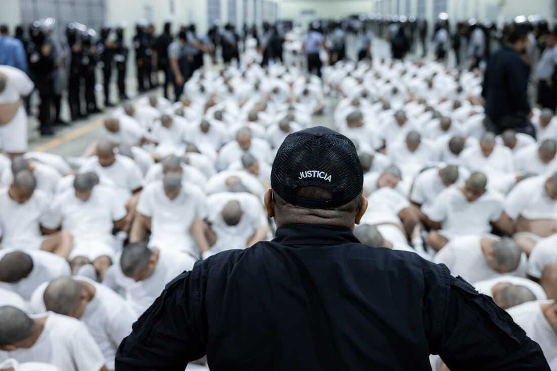 About 250 suspected gang members arrive in El Salvador by plane in this photo from Sunday, including 238 members of Venezuela's Tren de Aragua gang and 23 members of the MS-13 gang, who were deported to El Salvador by the U.S.. El Salvador's President Nayib Bukele confirmed they will be sent to the country's mega-prison CECOT, the Terrorism Confinement Center.