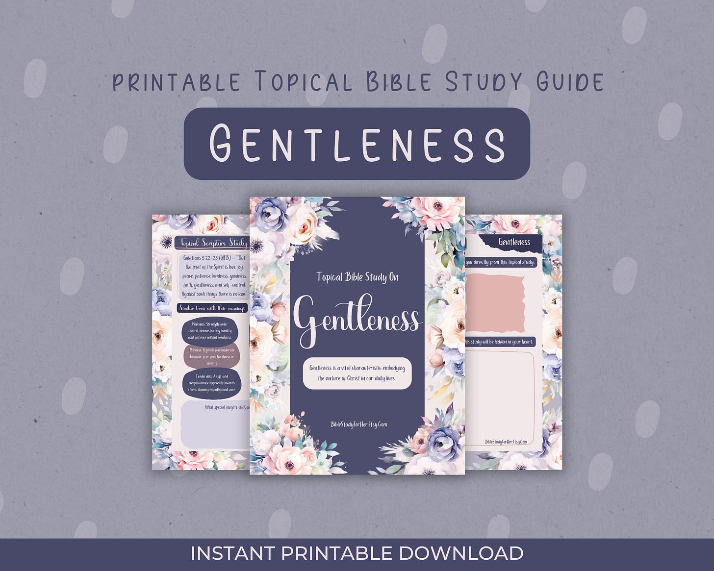 Gentleness Bible Study cover image